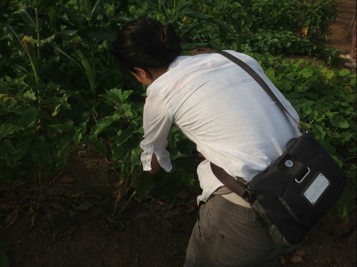 20100715Organic Farm36